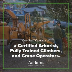 #1 tree arborist, tree removal service, tree trimming, tree pruning, stump grinding, tree service company serving the Kirkland, Bothell, Woodinville, Monroe, Kenmore, Bellevue, and Washington. Aadam’s Tree Service is founded on honesty, integrity. We are highly qualified tree professionals.