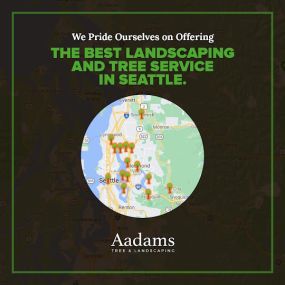 #1 tree arborist, tree removal service, tree trimming, tree pruning, stump grinding, tree service company serving the Kirkland, Bothell, Woodinville, Monroe, Kenmore, Bellevue, and Washington. Aadam’s Tree Service is founded on honesty, integrity. We are highly qualified tree professionals.