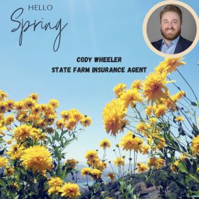 Cody Wheeler - State Farm Insurance Agent