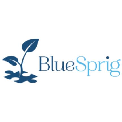 Logo fra BlueSprig