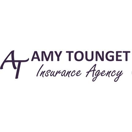 Logótipo de Amy Tounget Insurance Agency, LLC