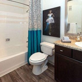 Modern Bathroom at St. Andrews Apartment Homes