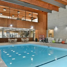 Indoor Swimming Pool