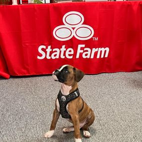 Jerry Farnum - State Farm Insurance Agent