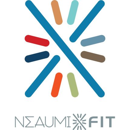 Logo from Neaumix Fit