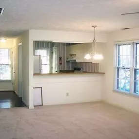 Living Room and Kitchen