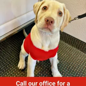 Call us today for a free pet insurance quote!
Stephanie Langkil - State Farm Insurance Agent