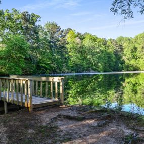 Lake view