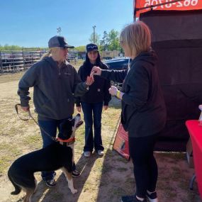 Come on out this afternoon starting at 4:00 and enjoy the Rodeo !!
All proceeds help support our local Humane Society!