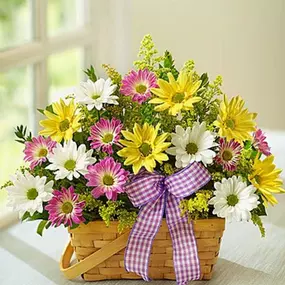 Send your best wishes for a springtime full of smiles with our charming, garden-inspired bouquet! Assorted daisies are hand-arranged in a lovely split wood basket accented with a gingham print ribbon for a fresh-from-the-meadow feel. This is a wonderful gift for festive celebrations or simply to welcome the season in style.