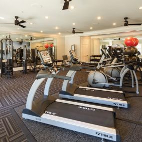 Body Shop with Cardio & Free Weights at The Berkeley Apartment Homes