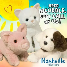 Bild von Nashville Toys and Books