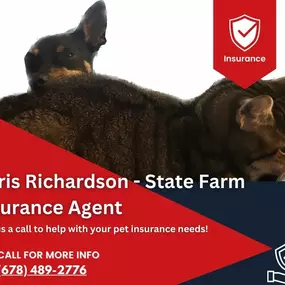 Chris Richardson - State Farm Insurance Agent