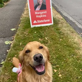 Margaret Hopkins - State Farm Insurance Agent