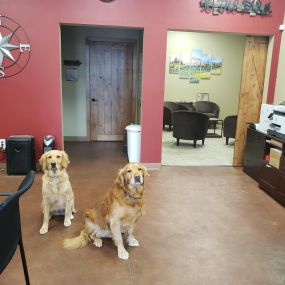 Jake and Penny in the office