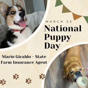 Mario Giraldo - State Farm Insurance Agent