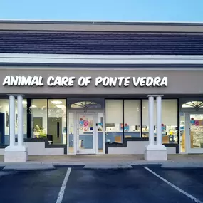 Bild von Animal Care of Ponte Vedra