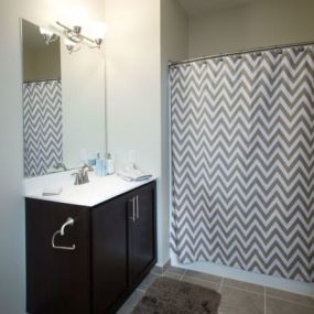 bathroom in the model apartment