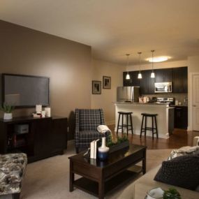 living room with sofa, chair and TV looking into the kitchen in the model apartment