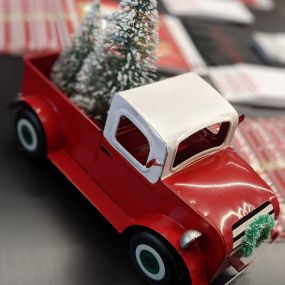 Mark Hancock - State Farm Insurance Agent - Christmas Tree on car