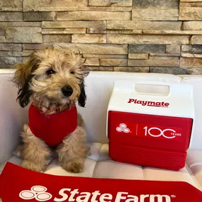 Dog from State Farm