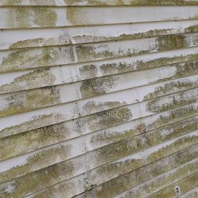 Bild von Estates Pressure Washing