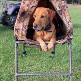 River Retriever Kennels, LLC