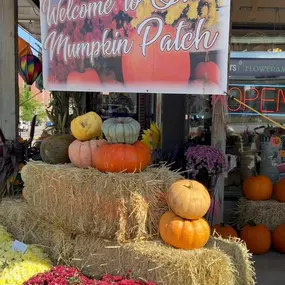 Pumpkins are here!! Stop by to grab a few to decorate your porch for fall!????