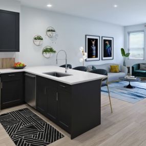 Living Room and Kitchen