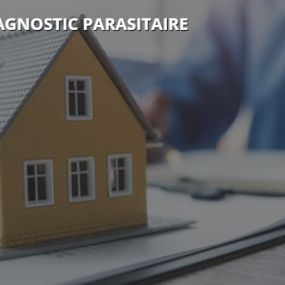 Diagnostic Parasitaire