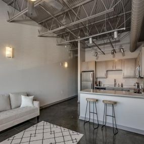 Stylish Living Area and Kitchen