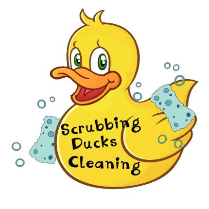 Logo von Scrubbing Ducks Cleaning