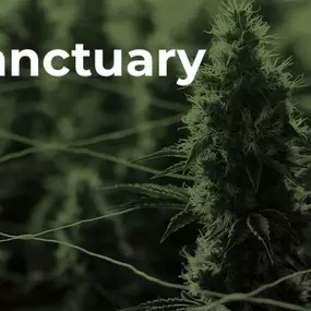 Bild von Sanctuary Medicinals-Brookline