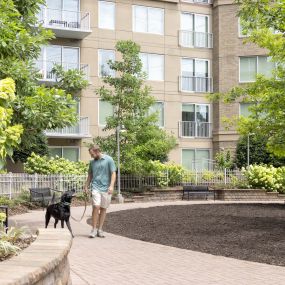 Courtyard dog walk with resident at Camden Music Row apartments in Nashville, TN