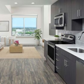 Studio entrance with wood-style flooring throughout, dark cabinets, light countertops and gray backsplash