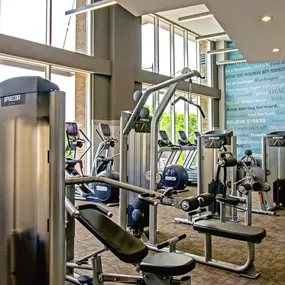 Fitness center with cardio and strength equipment