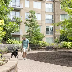 Courtyard dog walk with resident at Camden Music Row apartments in Nashville, TN