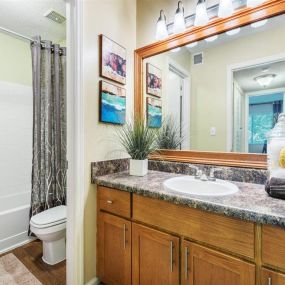 Spacious Bathroom with Relaxing Tub at Rosemont Apartments, Roswell