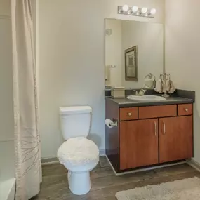 Model Bathroom  at Walden Oaks