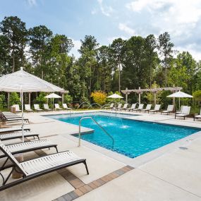 Gorgeous Modern Pool with Sunshelf and Lounge Chairs for Relaxing at Echo at North Pointe Center Apartment Homes