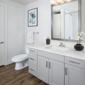 Flats gray style bathroom with white quartz countertops