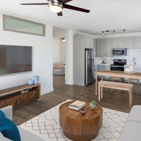 Flats gray style kitchen and living room with wood-style flooring