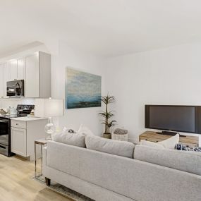 Stylish Open Kitchen and Living Room