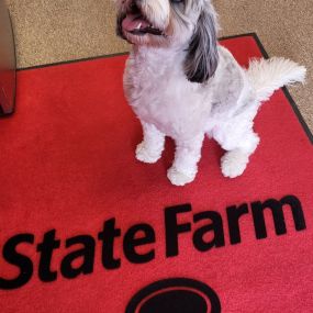 Chris Champ - State Farm Insurance Agent