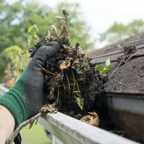 Rain Guard gutter cleaning services