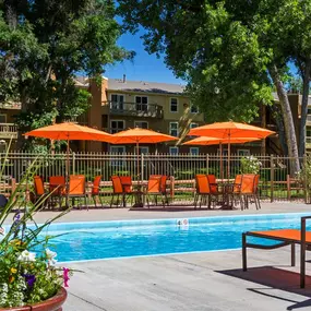 Outdoor Pool and Sundeck