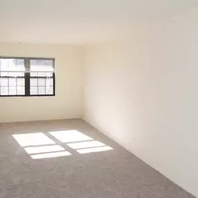 Large Room With Window