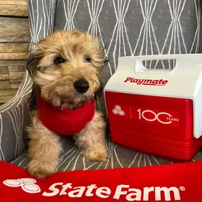 Tex Rapeepat - State Farm Insurance Agent