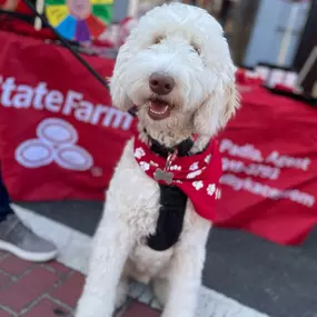 Kacey Padlo - State Farm Insurance Agent