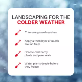 Protecting your plants during cold weather is essential. Here are some tips for winter landscaping.